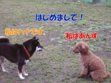 はじめまして
