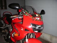 クリスマスバイク前
