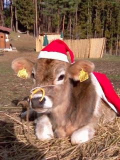 メリークリスマス！！