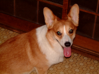 20050715