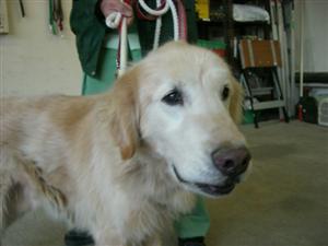 １１月２６日宮前区