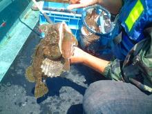 自由詩人！松尾多聞のブログ