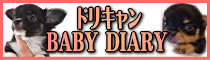 ベビー日記バナー
