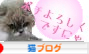 猫ブログ