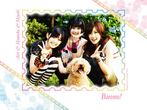 可憐麗人のブログ