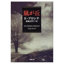 嵐が丘 のあらすじ 外国文学 イギリス文学他