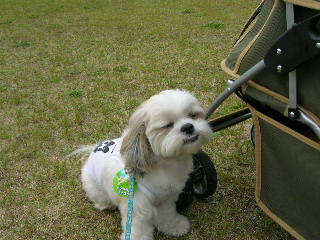 水琴窟の音色naお散歩