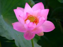 自由詩人！多聞のぐうたらブログ