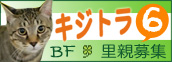 ずれずれブログ