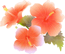 ラズフィールアロマサロン