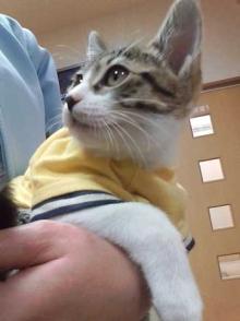 ３丁目こたま日記