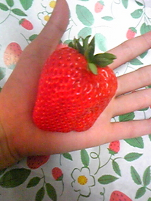 菅澤美月 つにてんてん♪ サムネイル画像