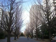 宇宙広場