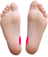 膀胱の足ツボ位置