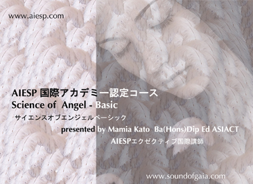 AIESP SAB　レポート提出について