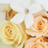 ロザブロ　　ウェディングとギフトのお花とワタシ-プリザ