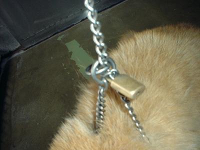 消えていく命-５月７日泉区