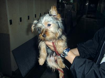 消えていく命-5月8日中区