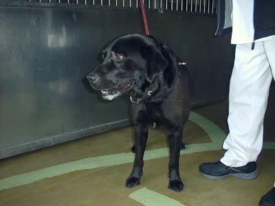 消えていく命-5月8日金沢区