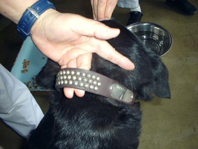 消えていく命-5月8日金沢区