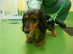 消えていく命-5月8日高津区