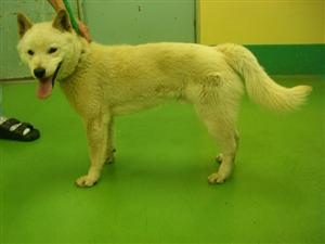 消えていく命-５月１４日多摩区