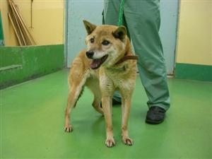 消えていく命-5月14日高津区