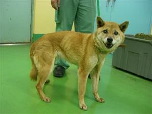 消えていく命-5月14日高津区