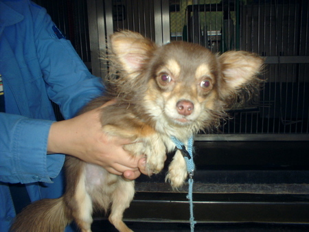 消えていく命-５月１８日西区