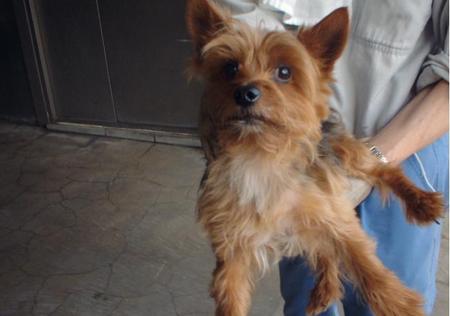 消えていく命-５月２０日保土ヶ谷区