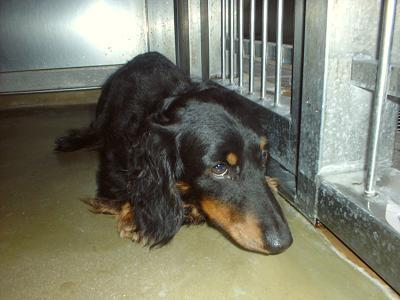 消えていく命-５月２８日南区