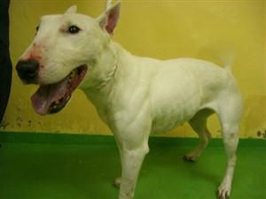 消えていく命-５月３０日高津区