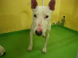 消えていく命-５月３０日高津区