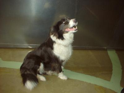 消えていく命-６月１日保土ヶ谷区