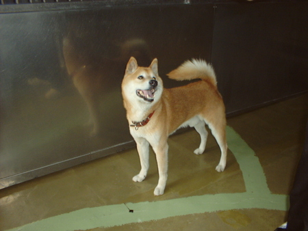 消えていく命-６月１日青葉区