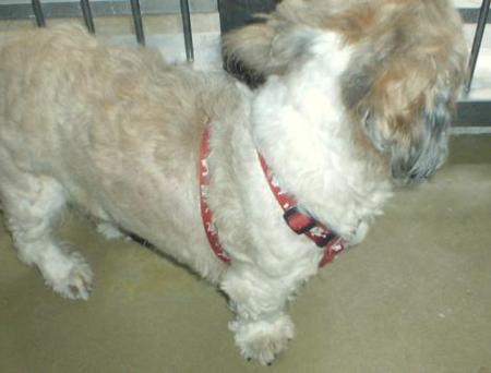 消えていく命-６月２日鶴見区