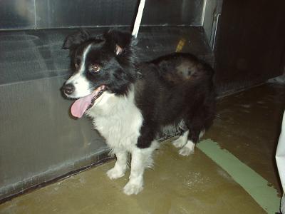 消えていく命-6月4日南区