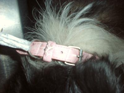 消えていく命-6月4日南区