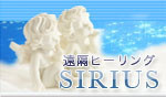 天然石ショップ∞Miyabiのスピリチュアルダイアリー∞動物と犬-Healing SIRIUS