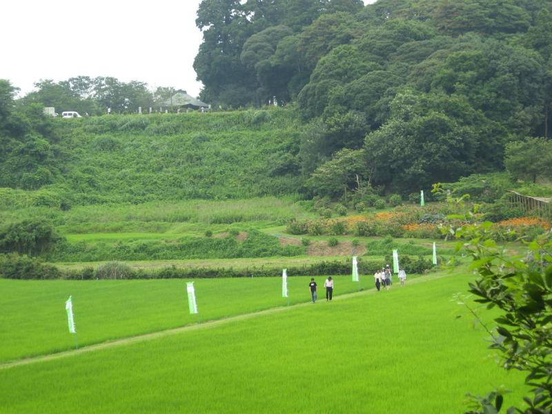 茨城県 行方市商工会-ギフト2009 665