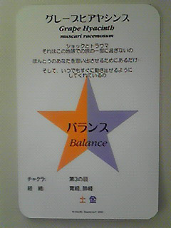 エッセンスで毎日がHAPPY DAY-200907310909000.jpg