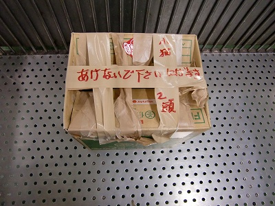 とらきち の ねこさん日記