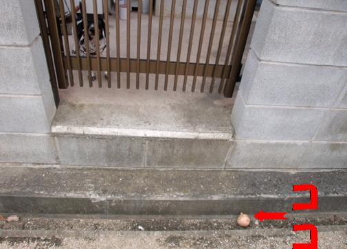 ☆*ﾟ ゜ﾟ*☆空にひつじ雲☆*ﾟ ゜ﾟ*☆