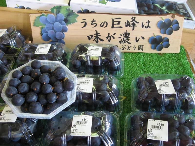 茨城県　行方市麻生商工会-画像 1185