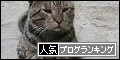 人気ブログランキング