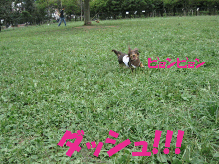 お散歩!!!