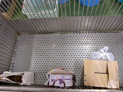 とらきち の ねこさん日記