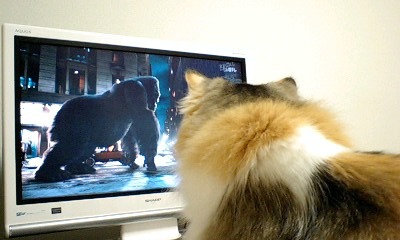 KING KONG