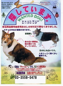 ★* charmmy *★ ’room゚・:,。゚・:,。☆大切な命☆