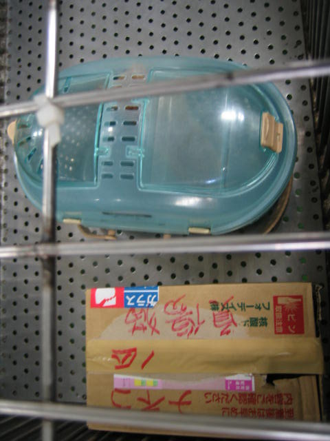 長崎保健所迷子犬リスト